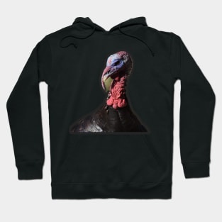 Wild Turkey Hoodie